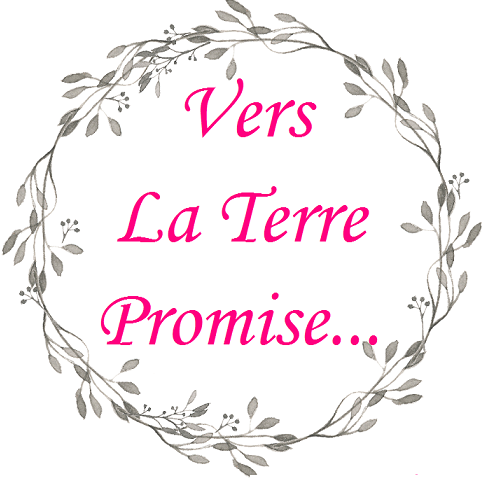 Vers la Terre Promise - Céline Flama